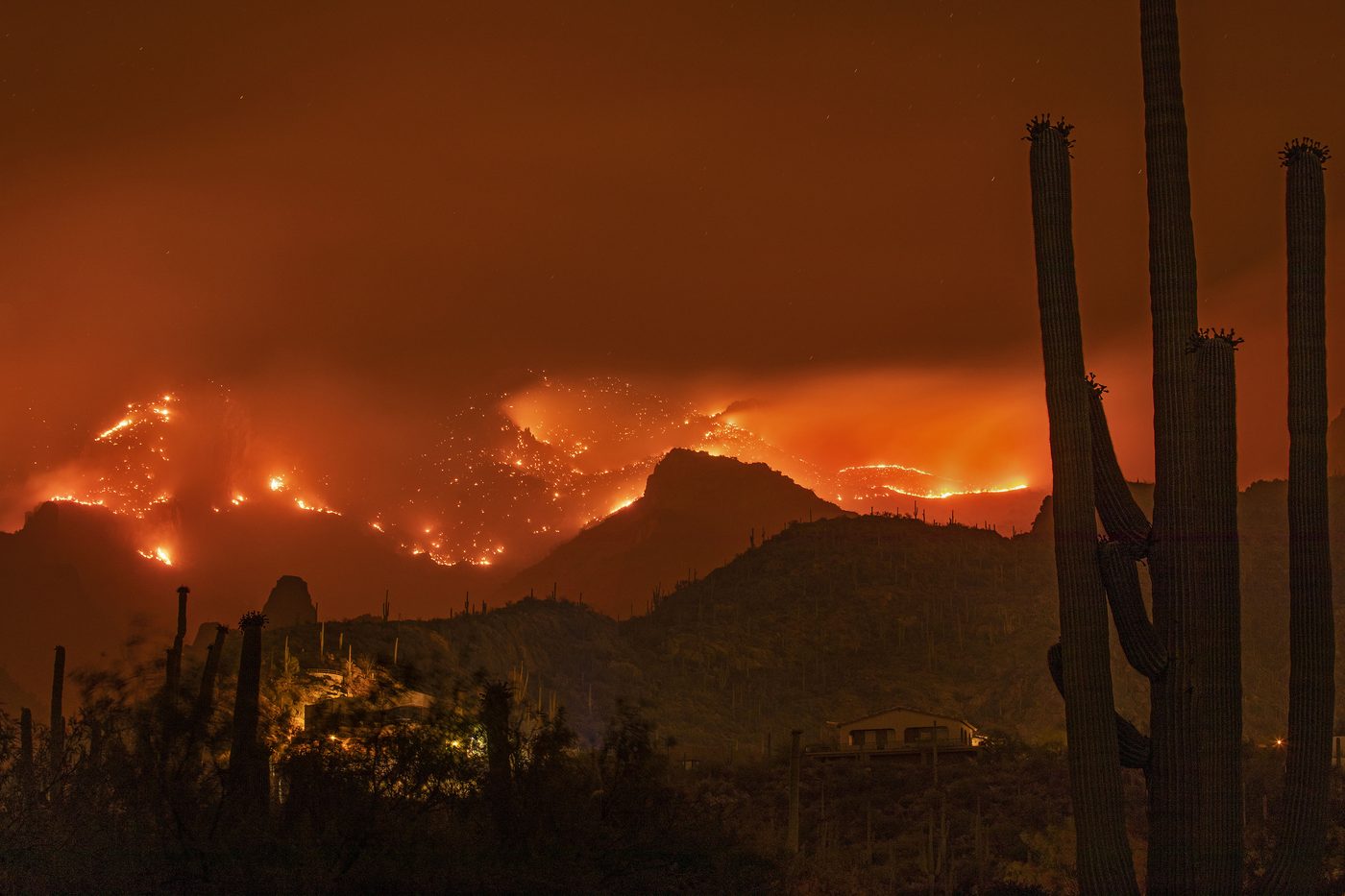 A wildfire burning across an Arizona desert mountainside at night