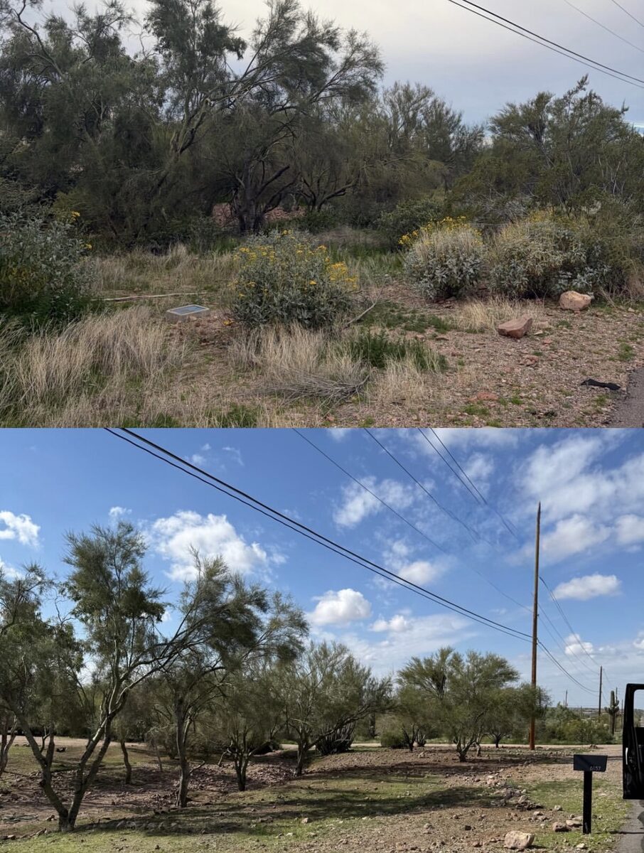 Before and after photo of defensible space vegetation clearing around an Arizona property