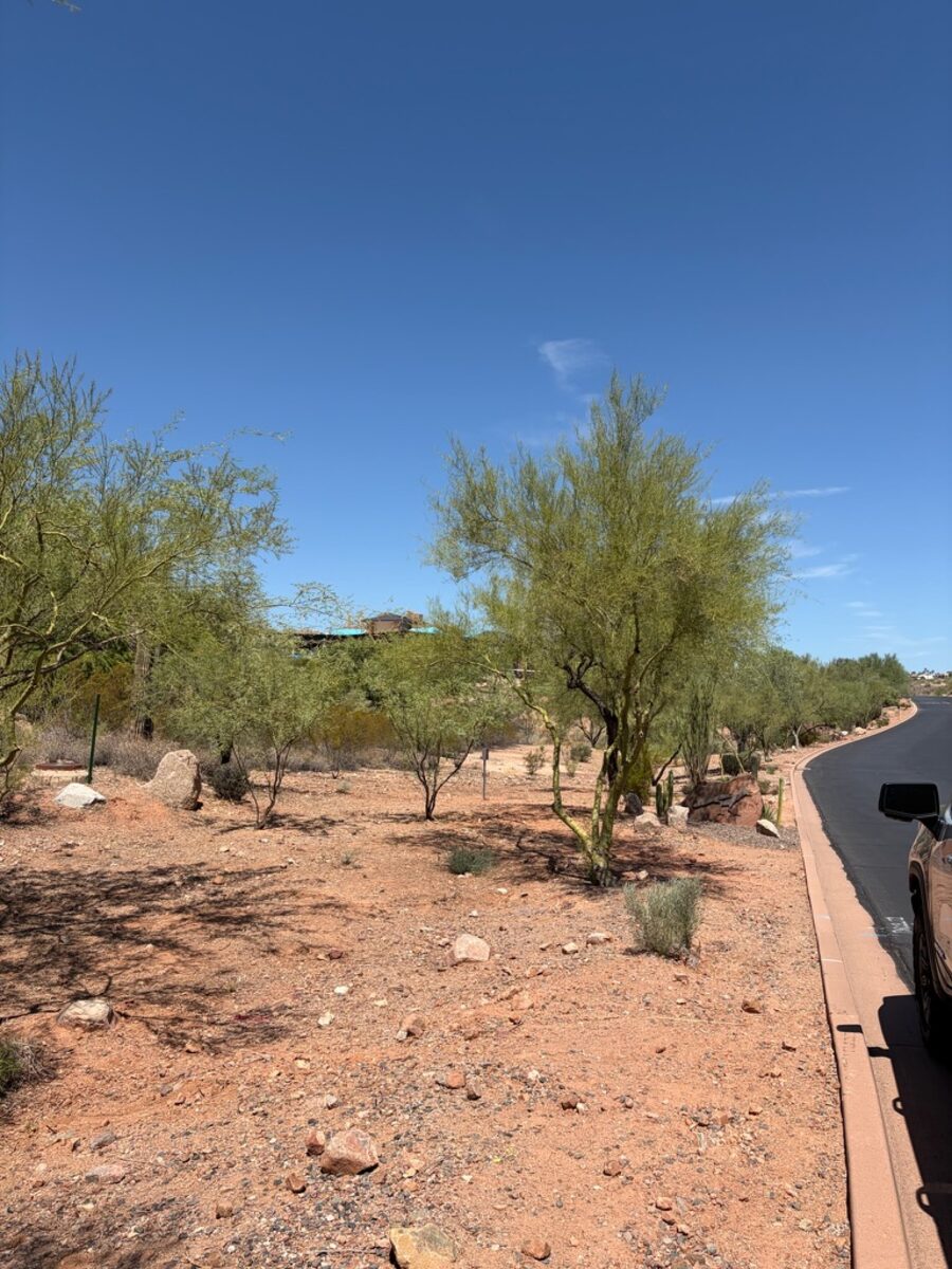 Cleared common-area vegetation along a community roadside in Arizona