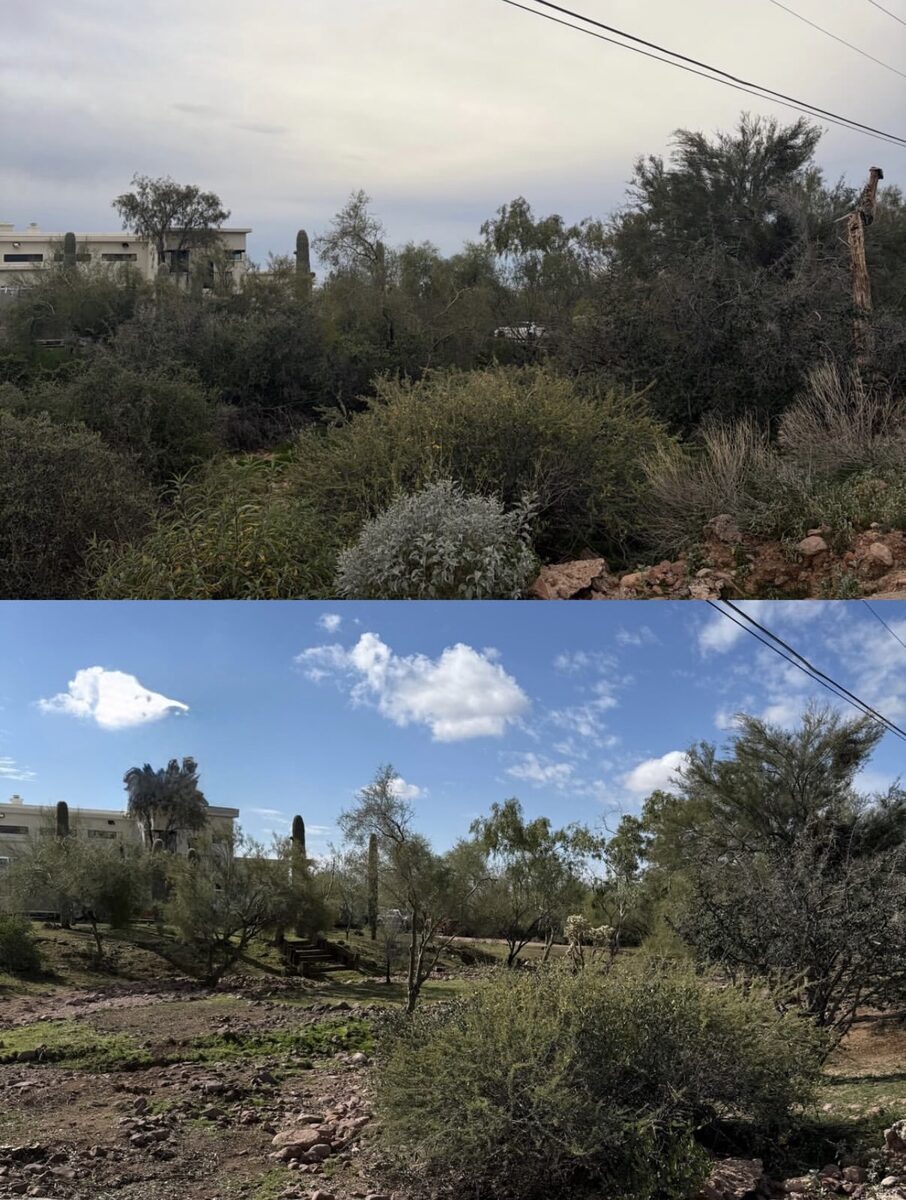 Before and after photo of a wildfire risk report site in Arizona